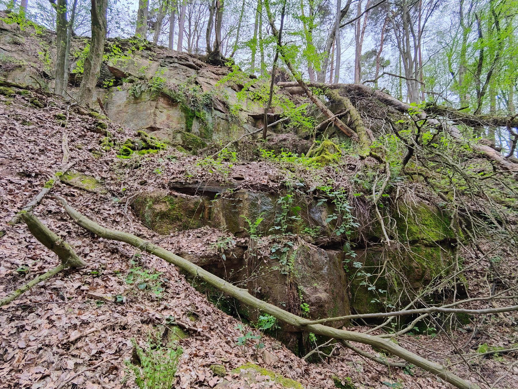 Felsen Steinbruch Neuenschmidten in Brachttal-Neuenschmidten