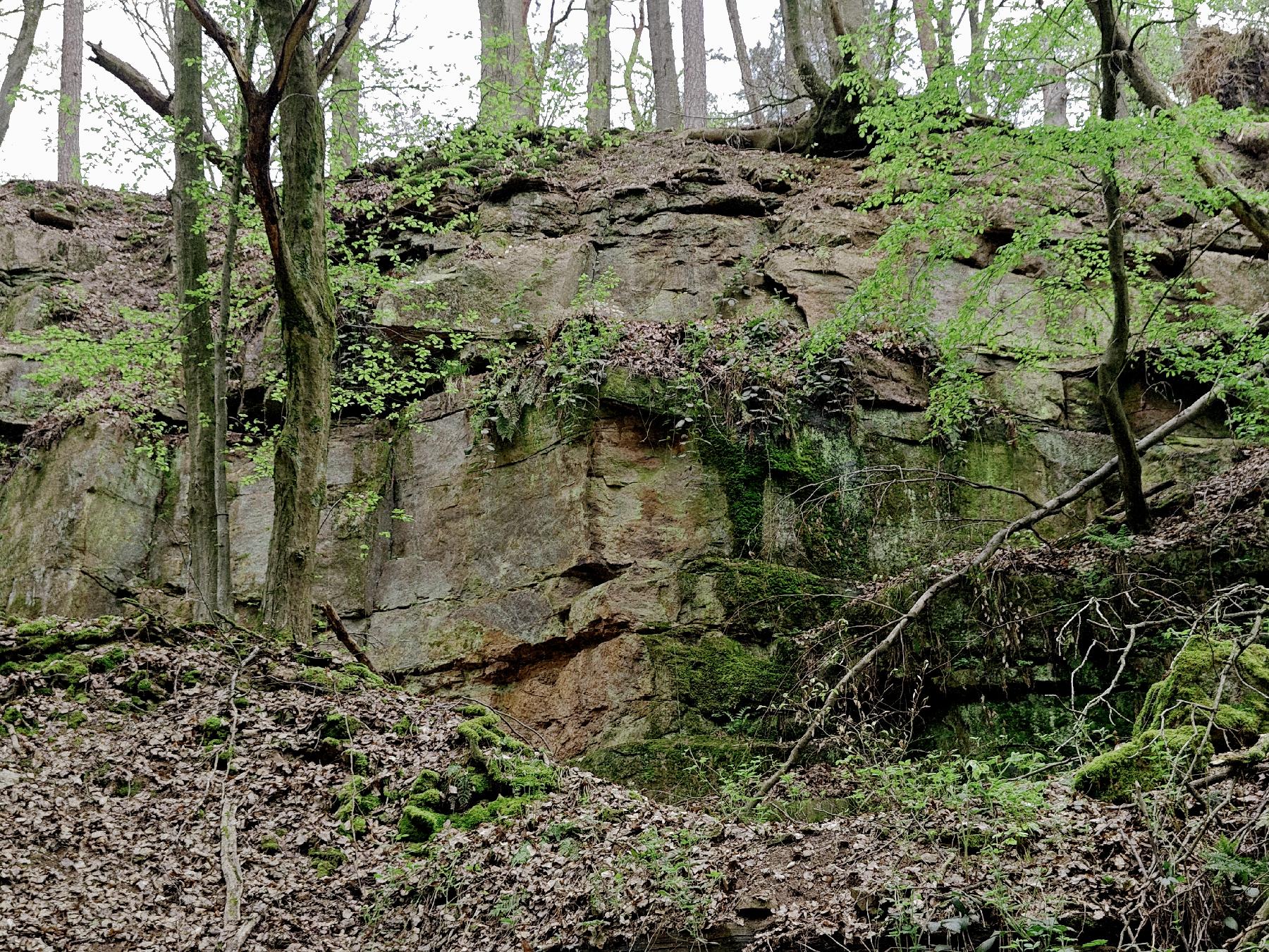 Felsen Steinbruch Neuenschmidten in Brachttal-Neuenschmidten