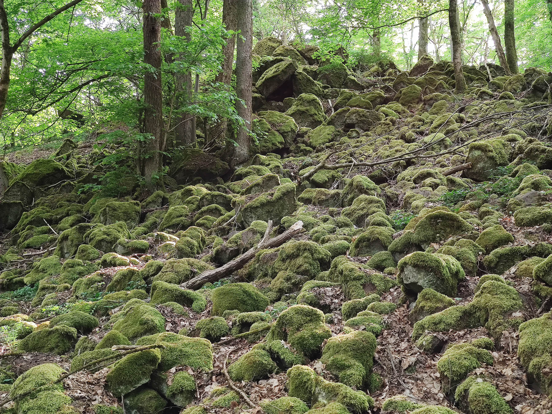 Felsen Steinmauer in Steinau an der Straße-Hintersteinau