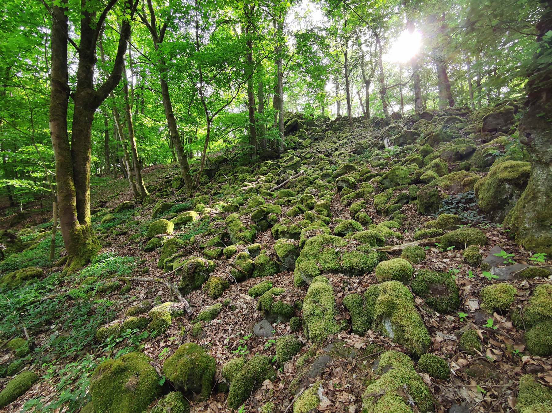 Felsen Steinmauer in Steinau an der Straße-Hintersteinau