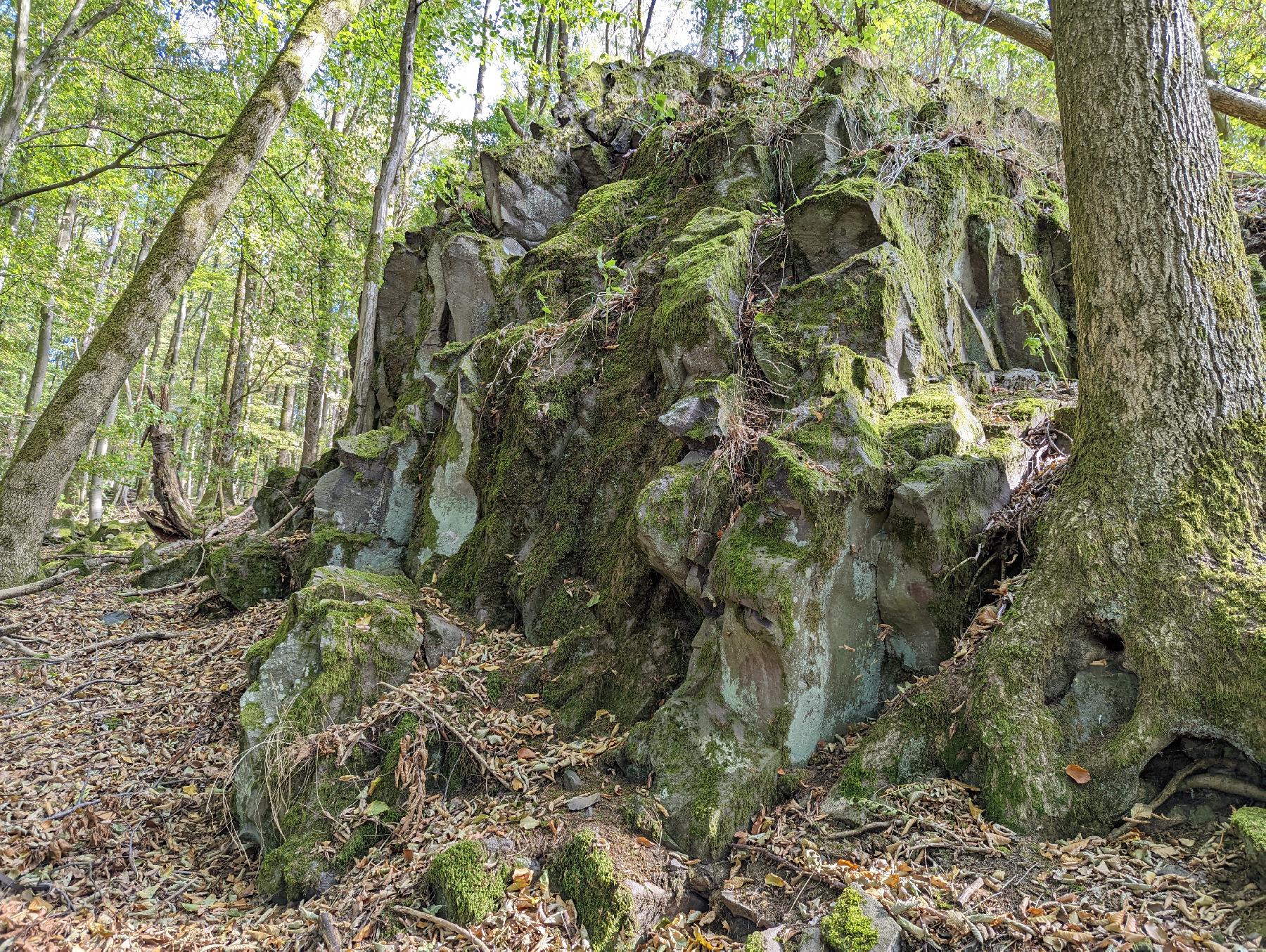 Bergspitze Steinwäldchen in Freiensteinau-Radmühl