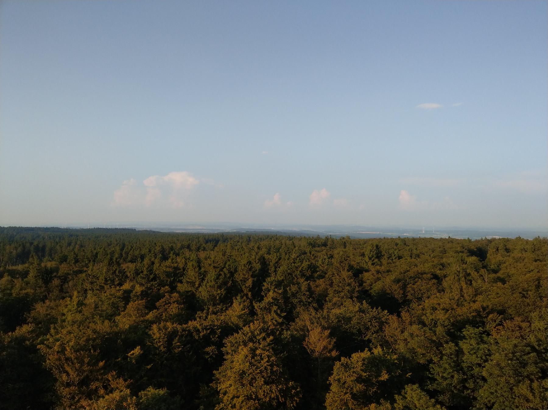 Berg Taufstein in Schotten-Breungeshain