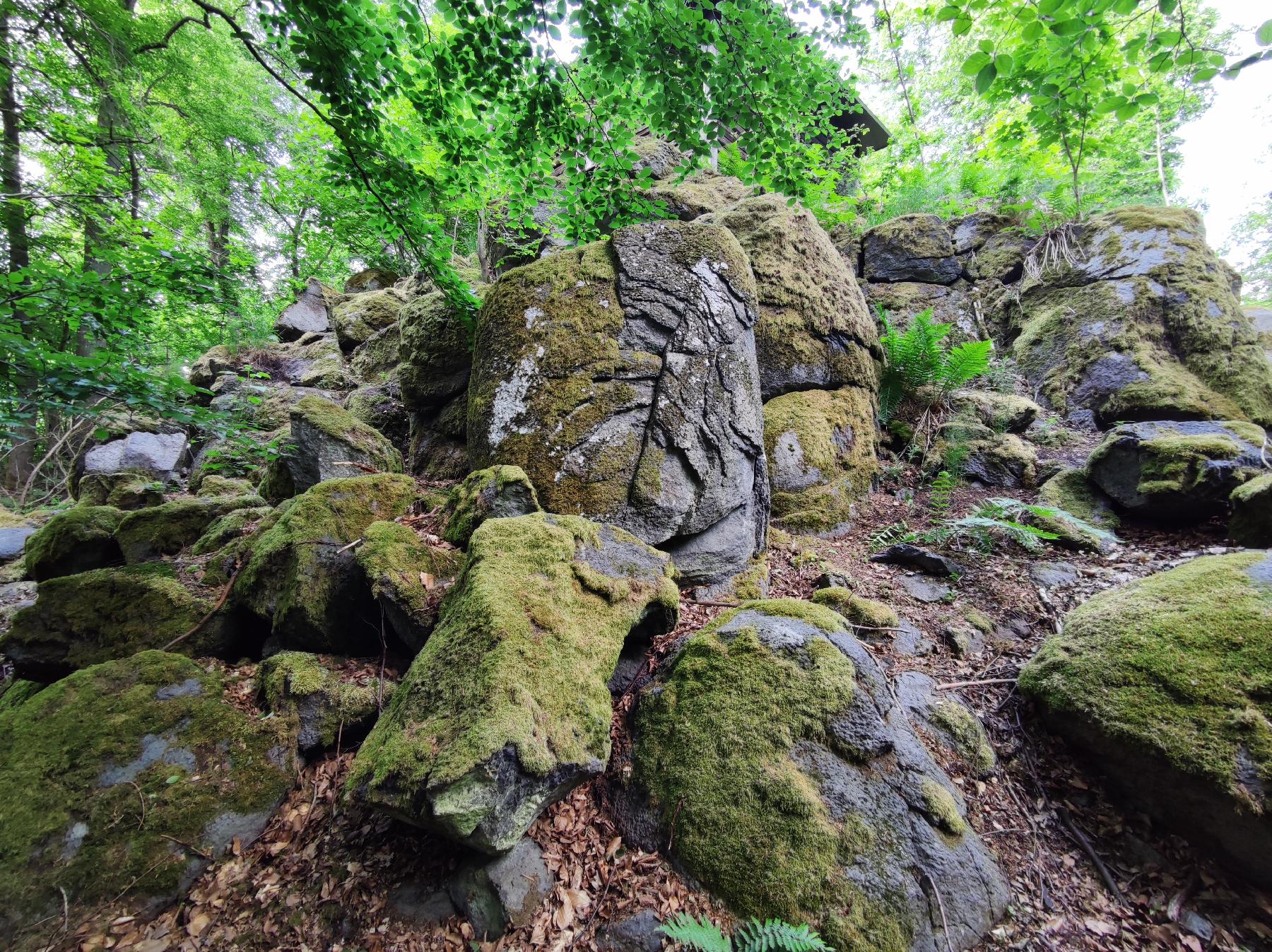 Bergspitze Thorkuppe in Lauterbach-Allmenrod