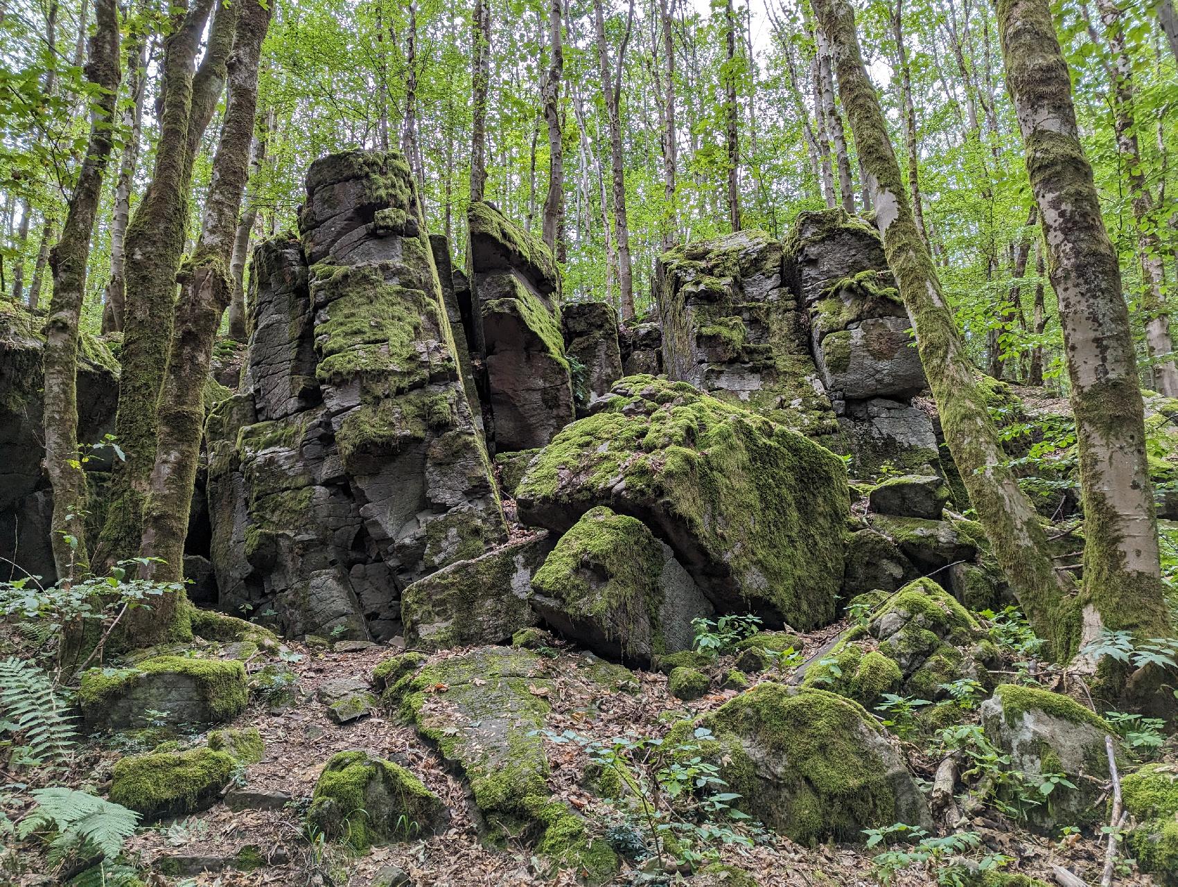 Felsen Uhuklippen in Grebenhain-Hochwaldhausen