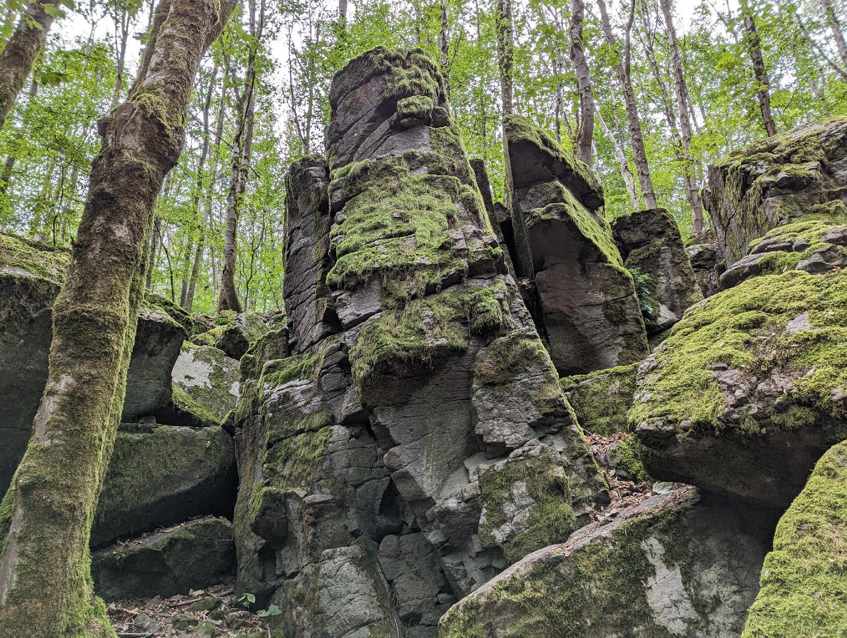 Felsen Uhuklippen in Grebenhain-Hochwaldhausen