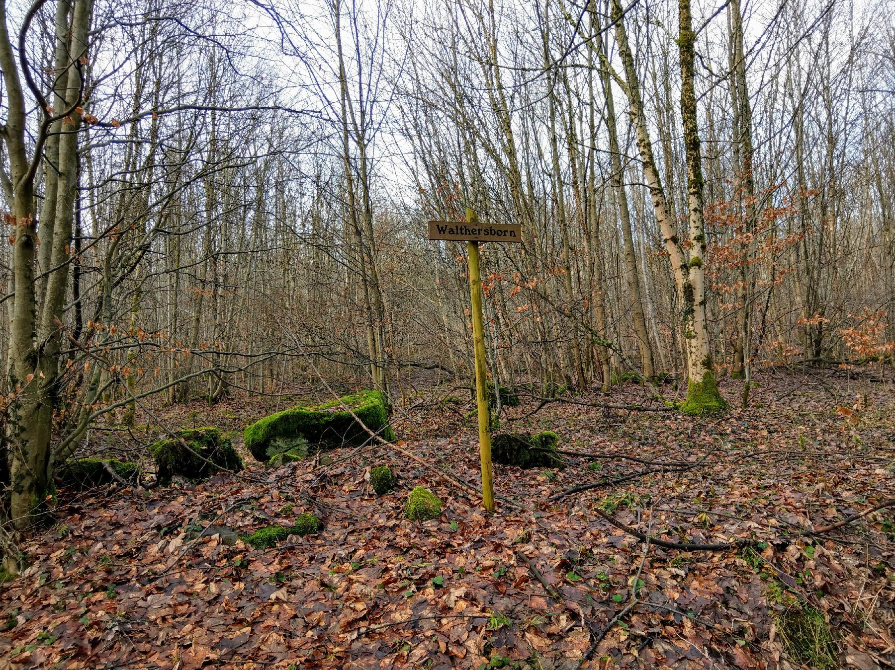 Quelle Walthersborn in Schotten-Kaulstoß