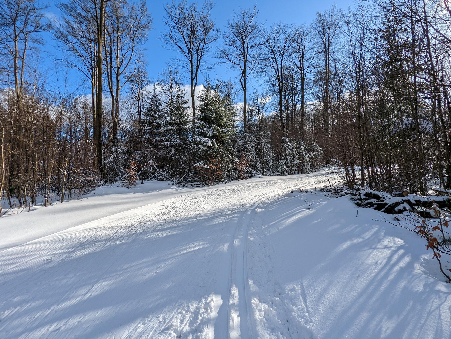Strecke Wettkampfloipe Taufstein im Vogelsberg