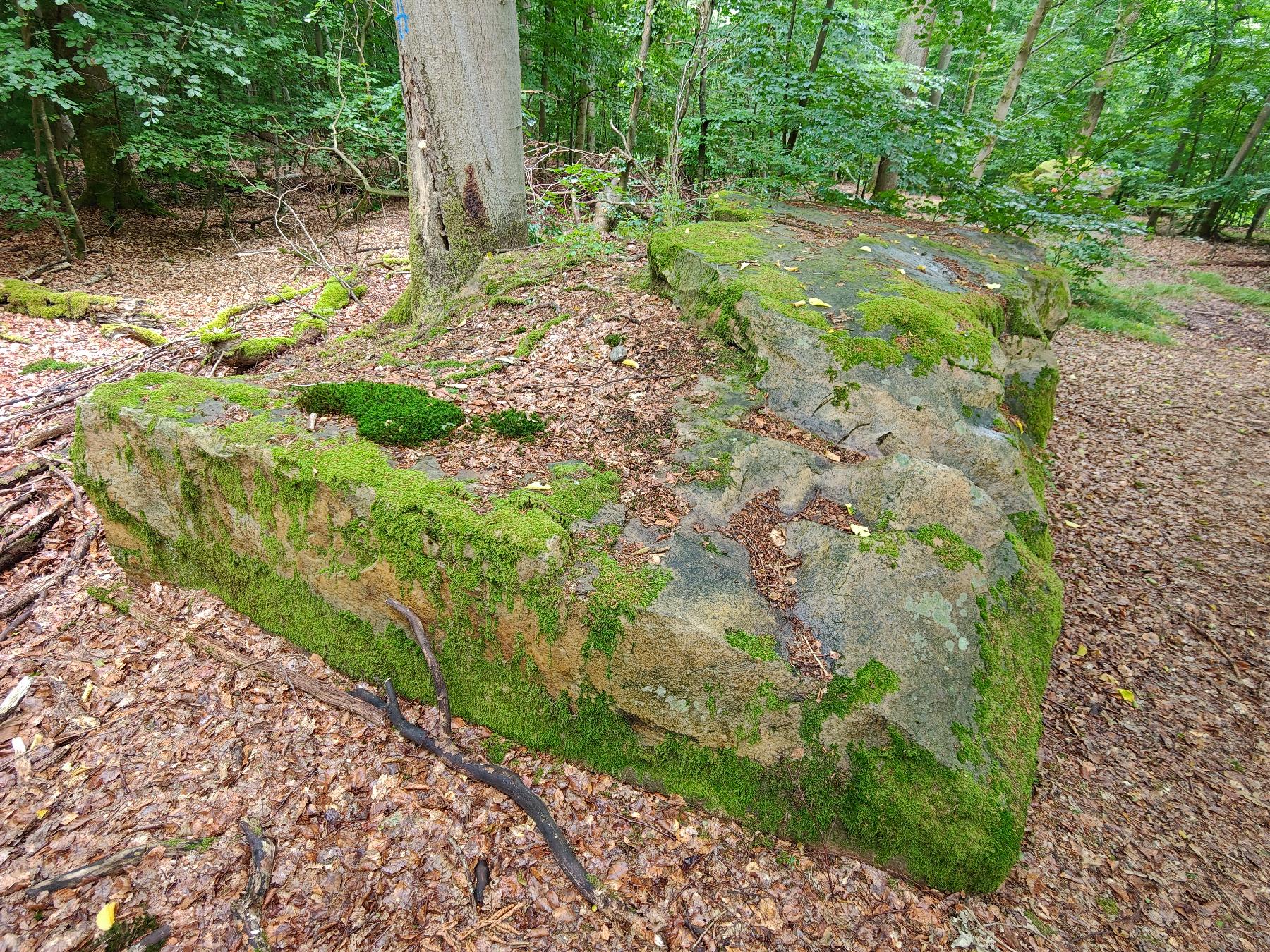 Felsen Wilde Männer in Bad Soden-Salmünster