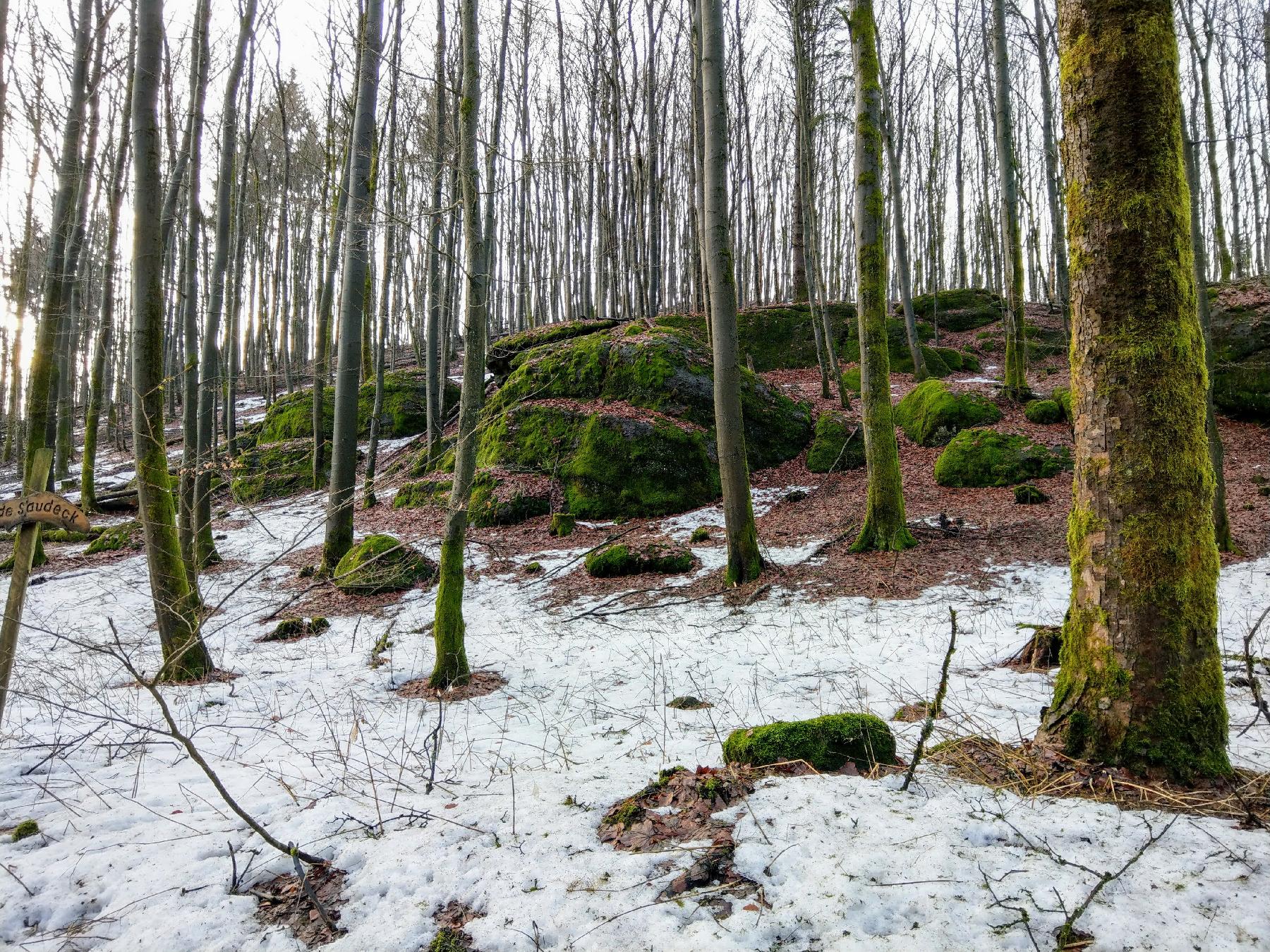 Felsen Wilde Saudeck in Schotten-Sichenhausen