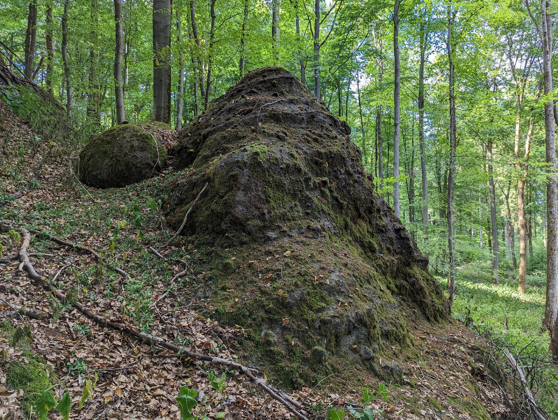 Felsen Wilde Saudeck in Schotten-Sichenhausen