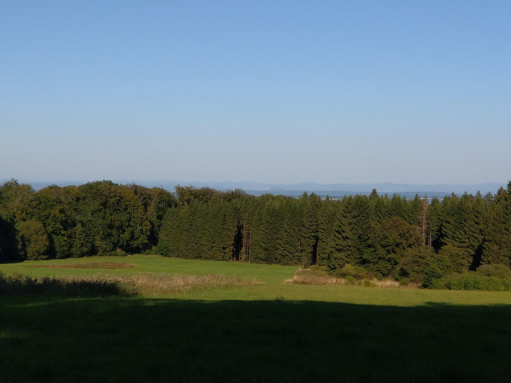 Berg Wildefeldskopf in Grebenhain-Herchenhain