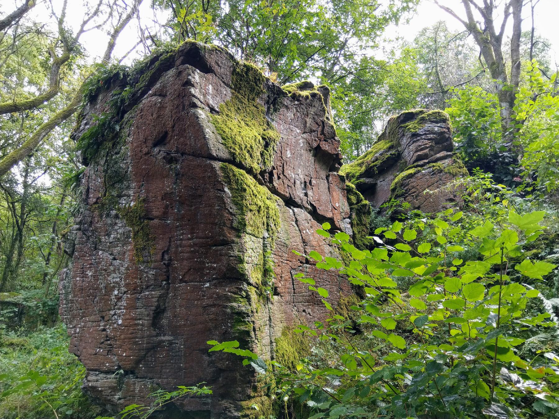 Felsen Wilder Stein (Altenschlirf) in Herbstein-Altenschlirf