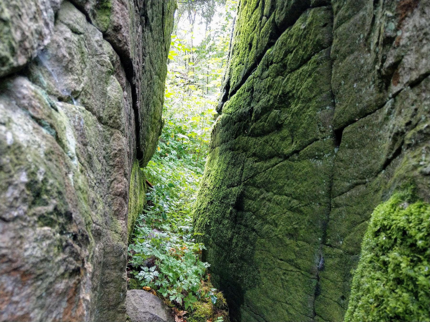 Felsen Wilder Stein (Altenschlirf) in Herbstein-Altenschlirf