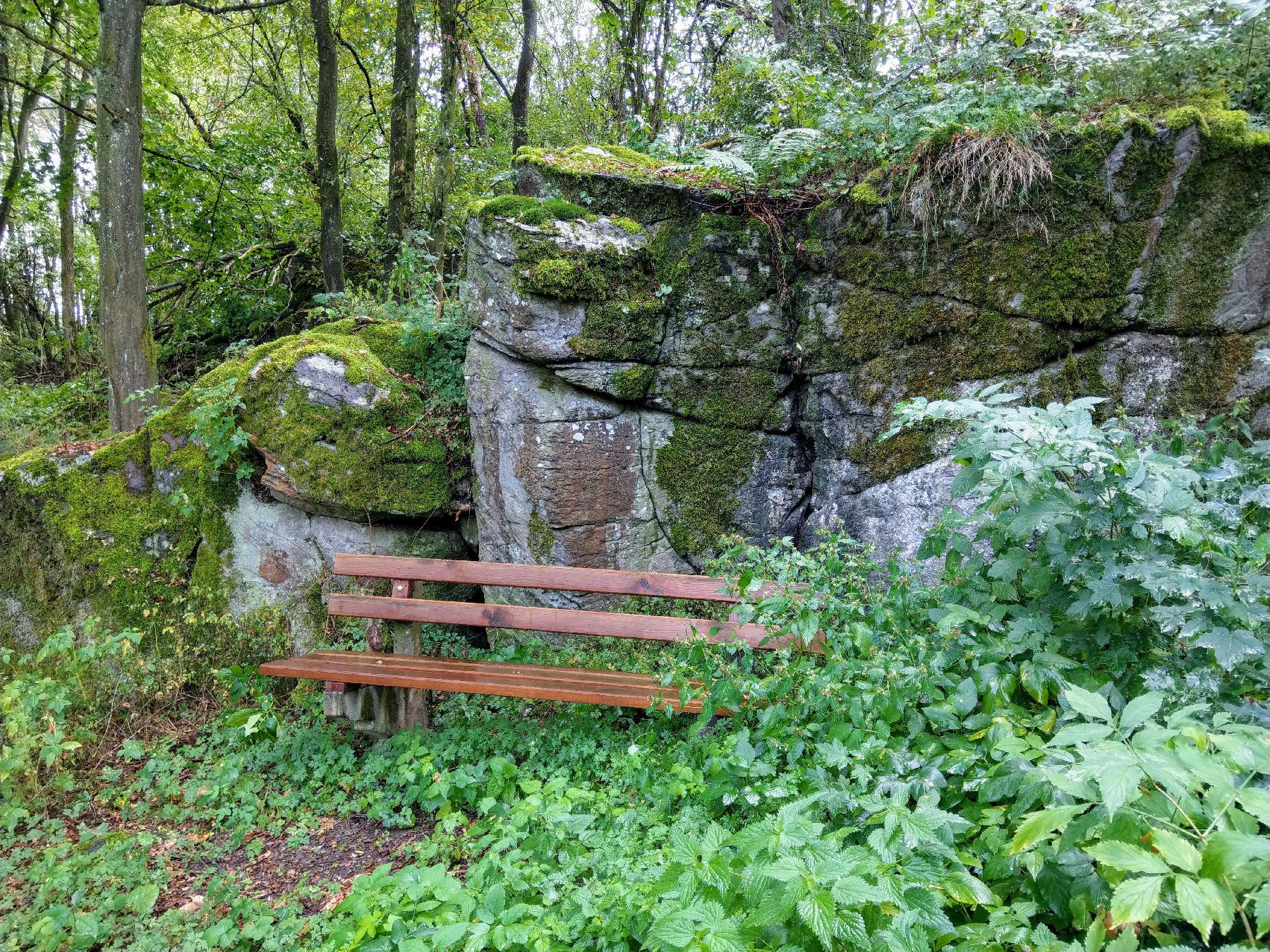 Felsen Wilder Stein (Altenschlirf) in Herbstein-Altenschlirf