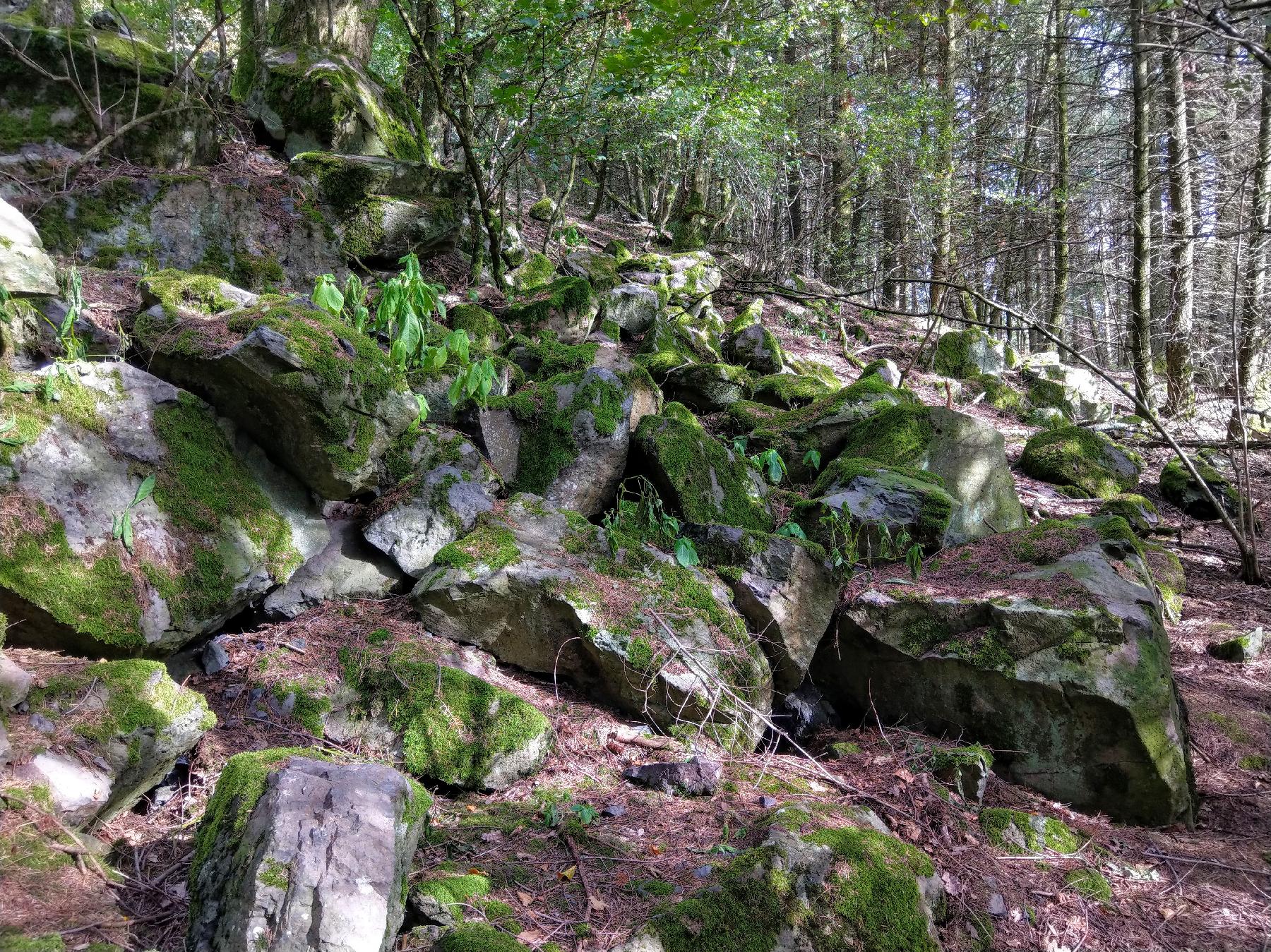 Bergspitze Winterberg in Freiensteinau