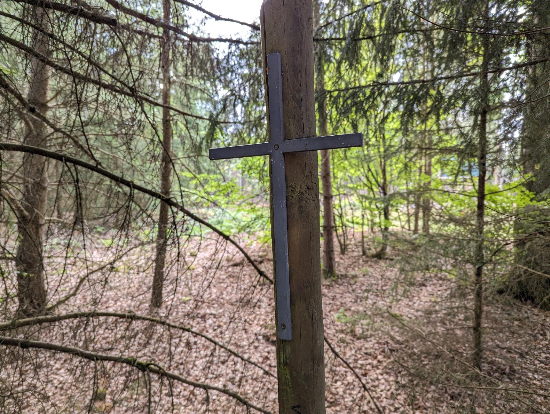 Berg Wolfersberg in Schlitz-Sassen