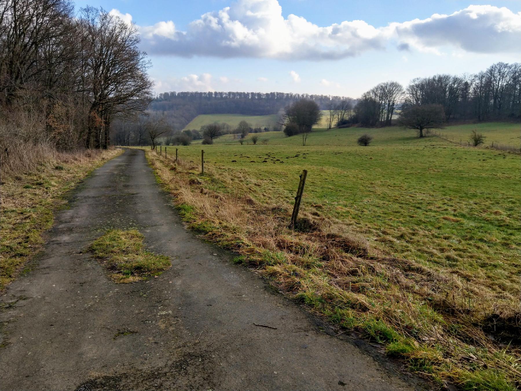 Berg Ziegenberg in Lautertal-Dirlammen