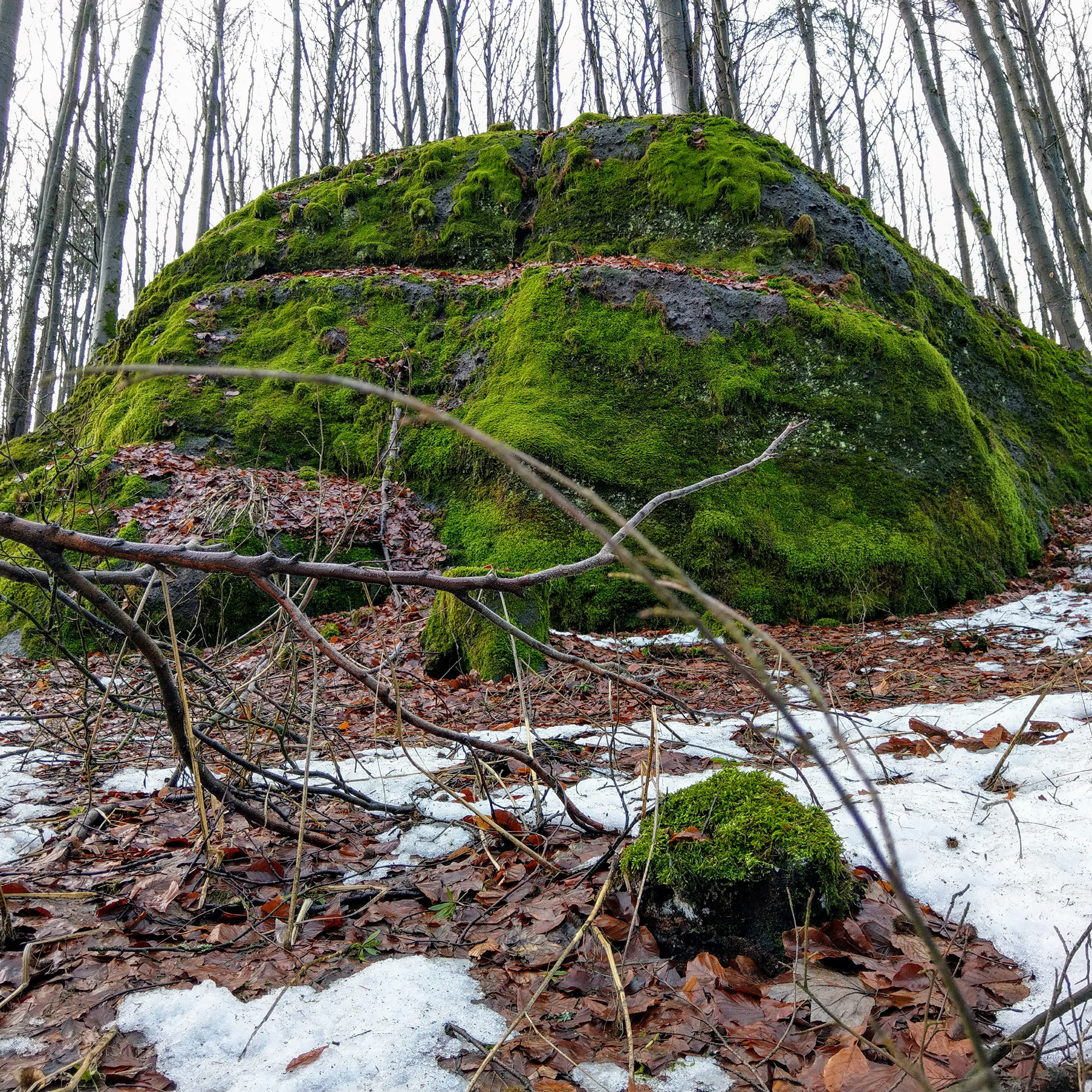 Wilde Saudeck im Vogelsberg