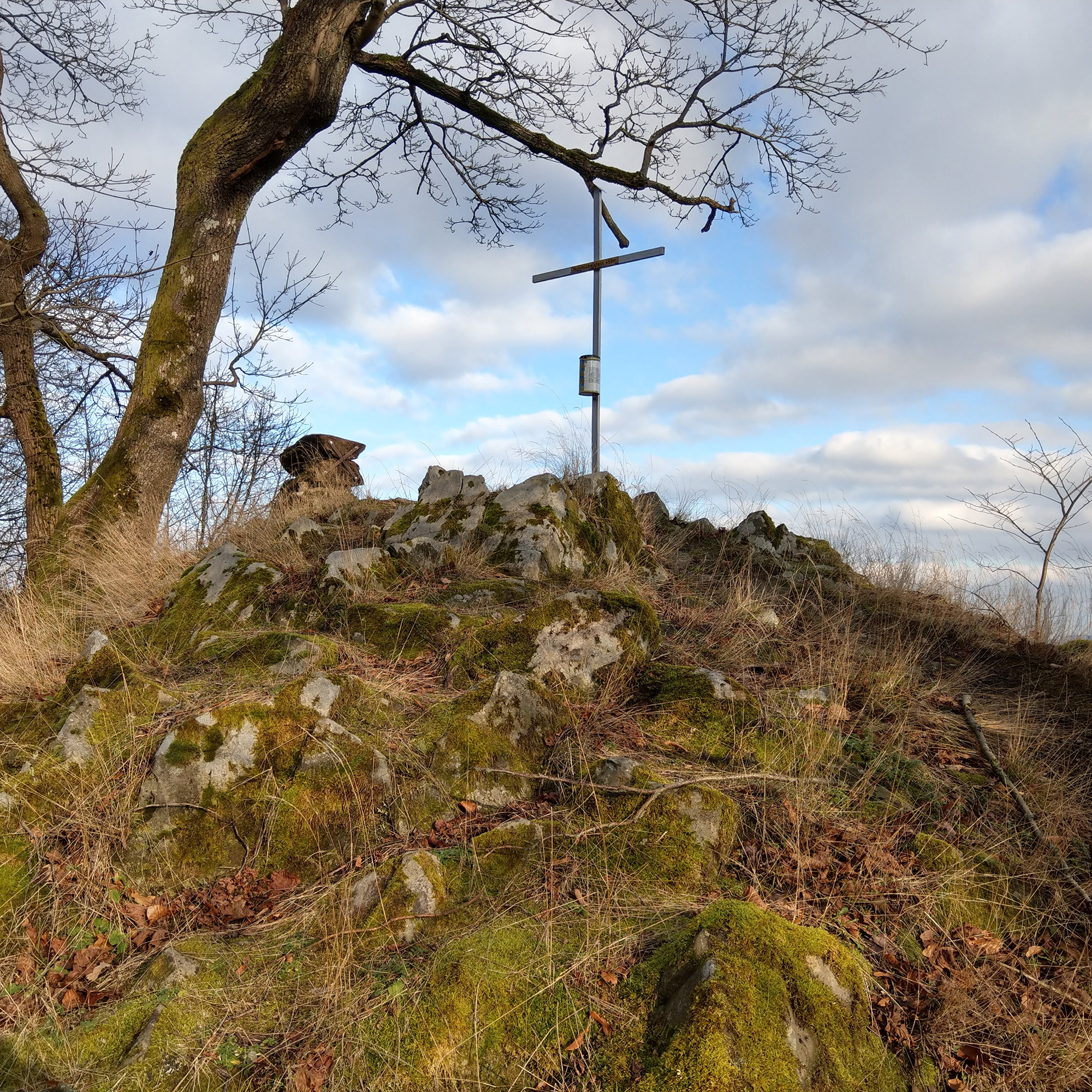 Hohmichelstein im Vogelsberg