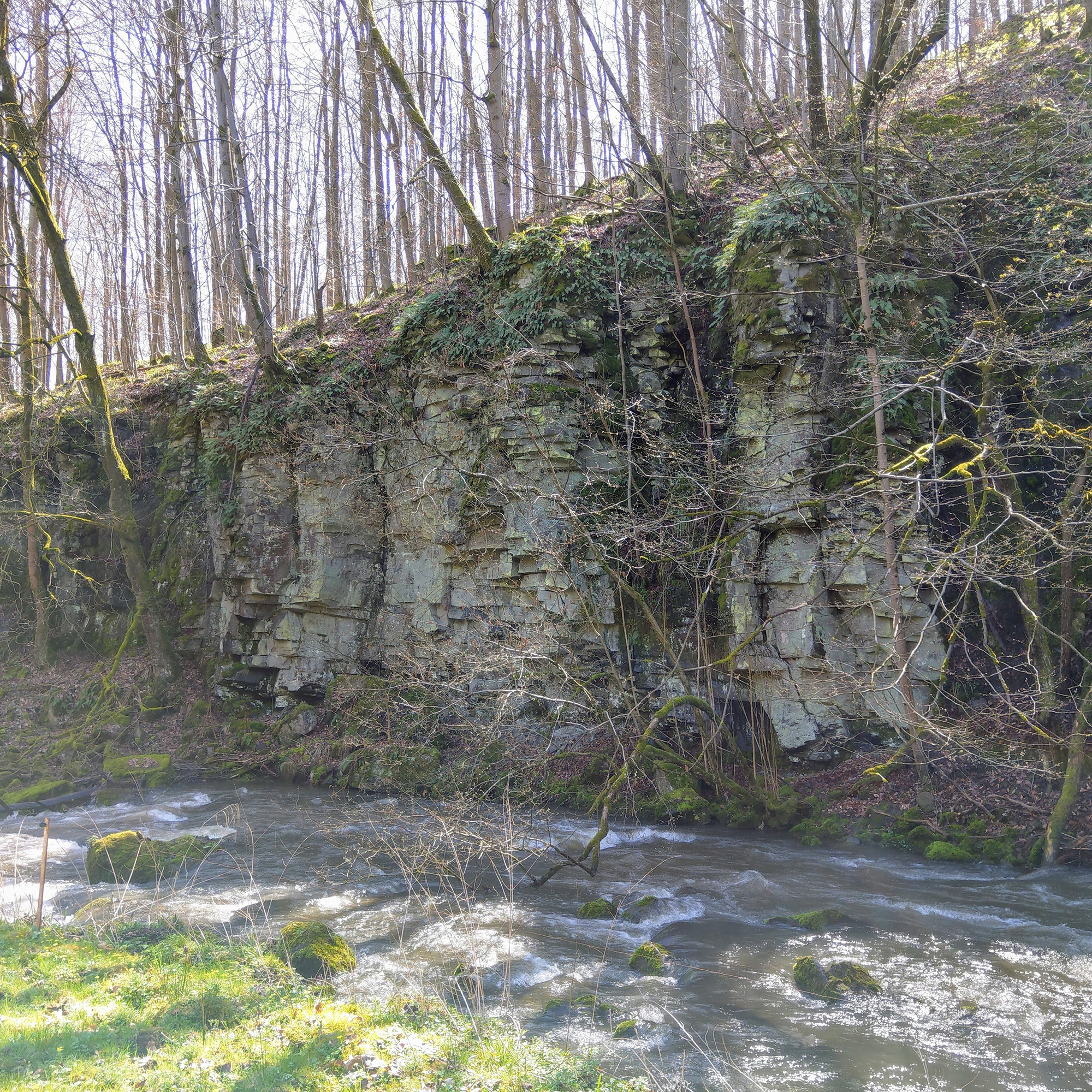 Toter Mann im Vogelsberg