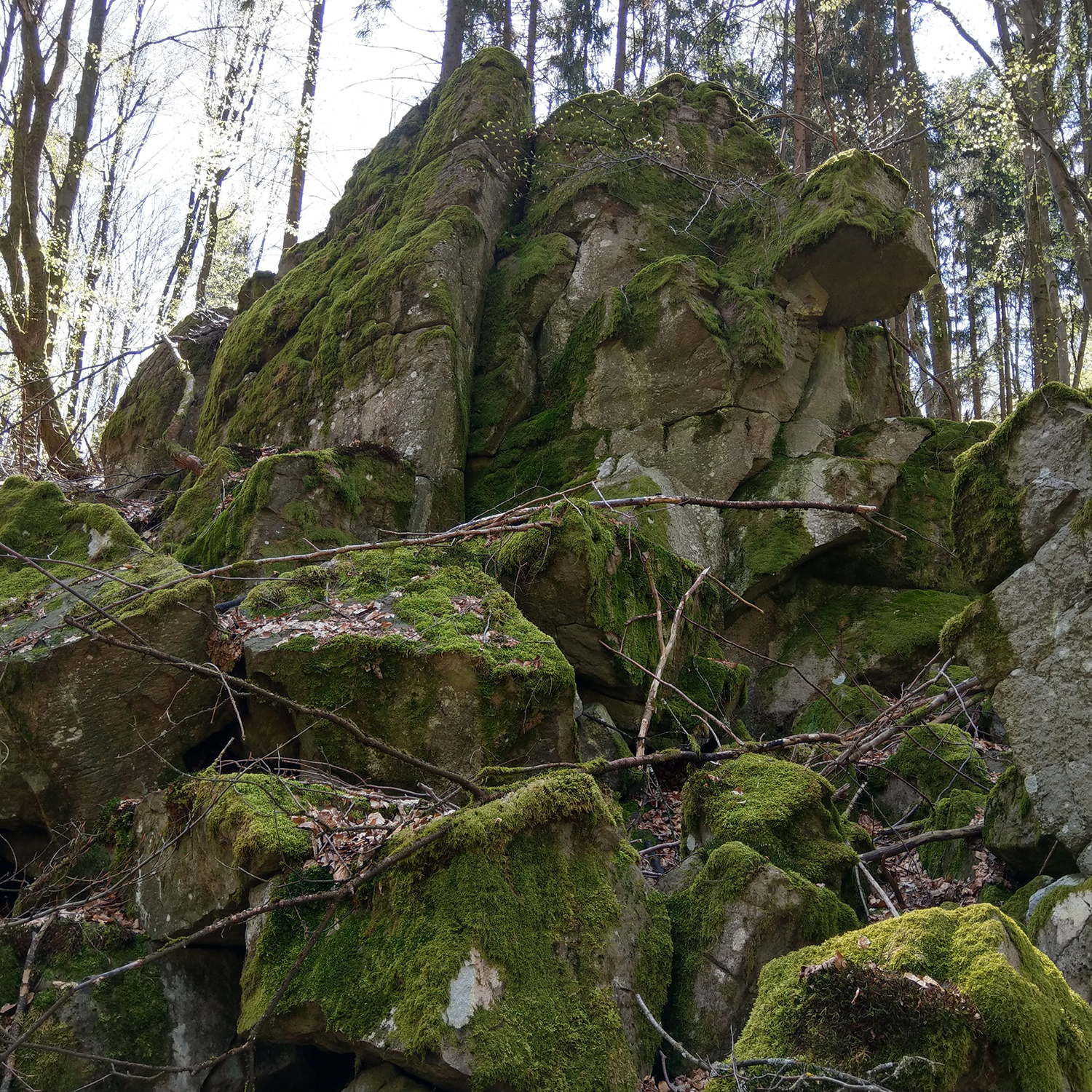 Wodestein im Vogelsberg