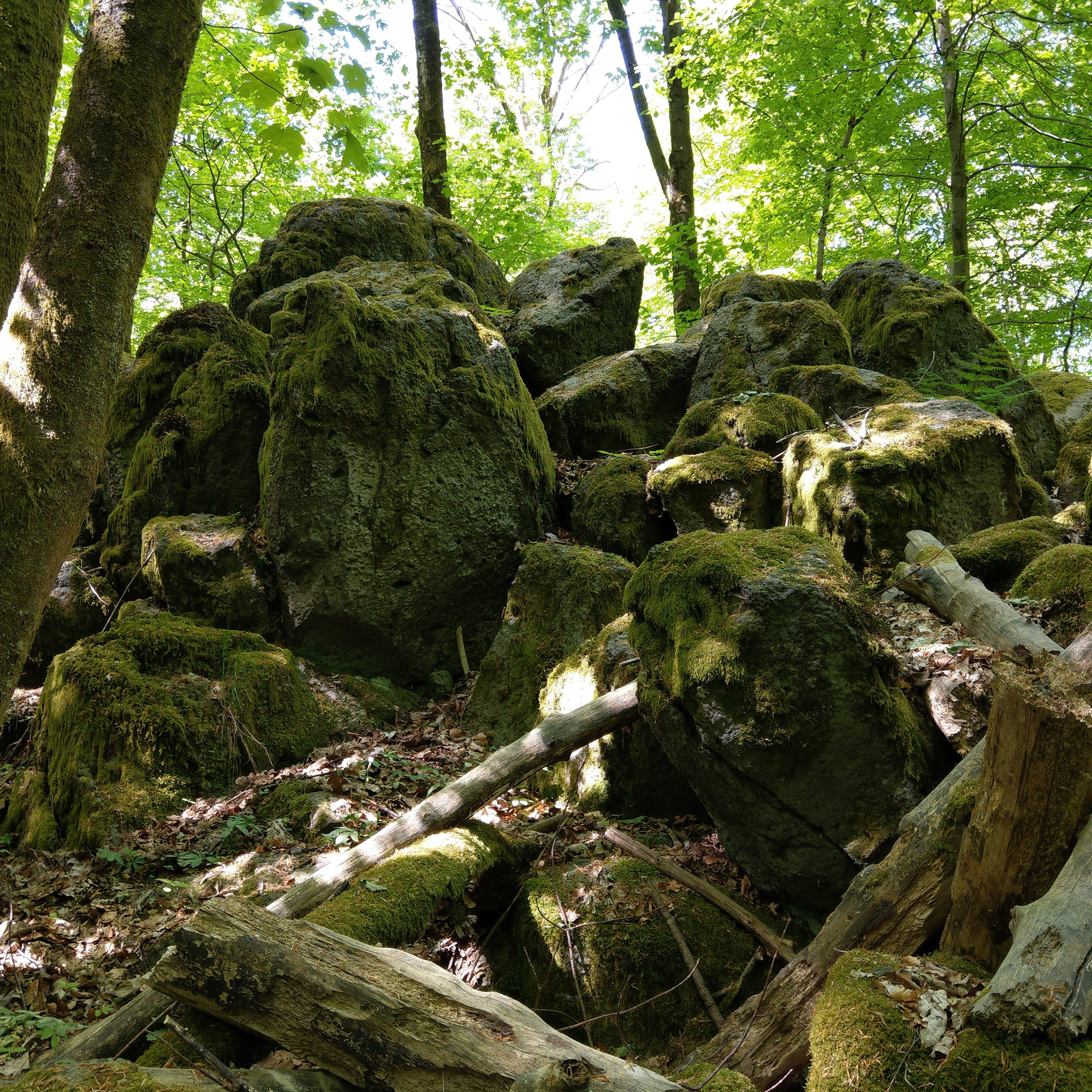 Spitzer Stein im Vogelsberg