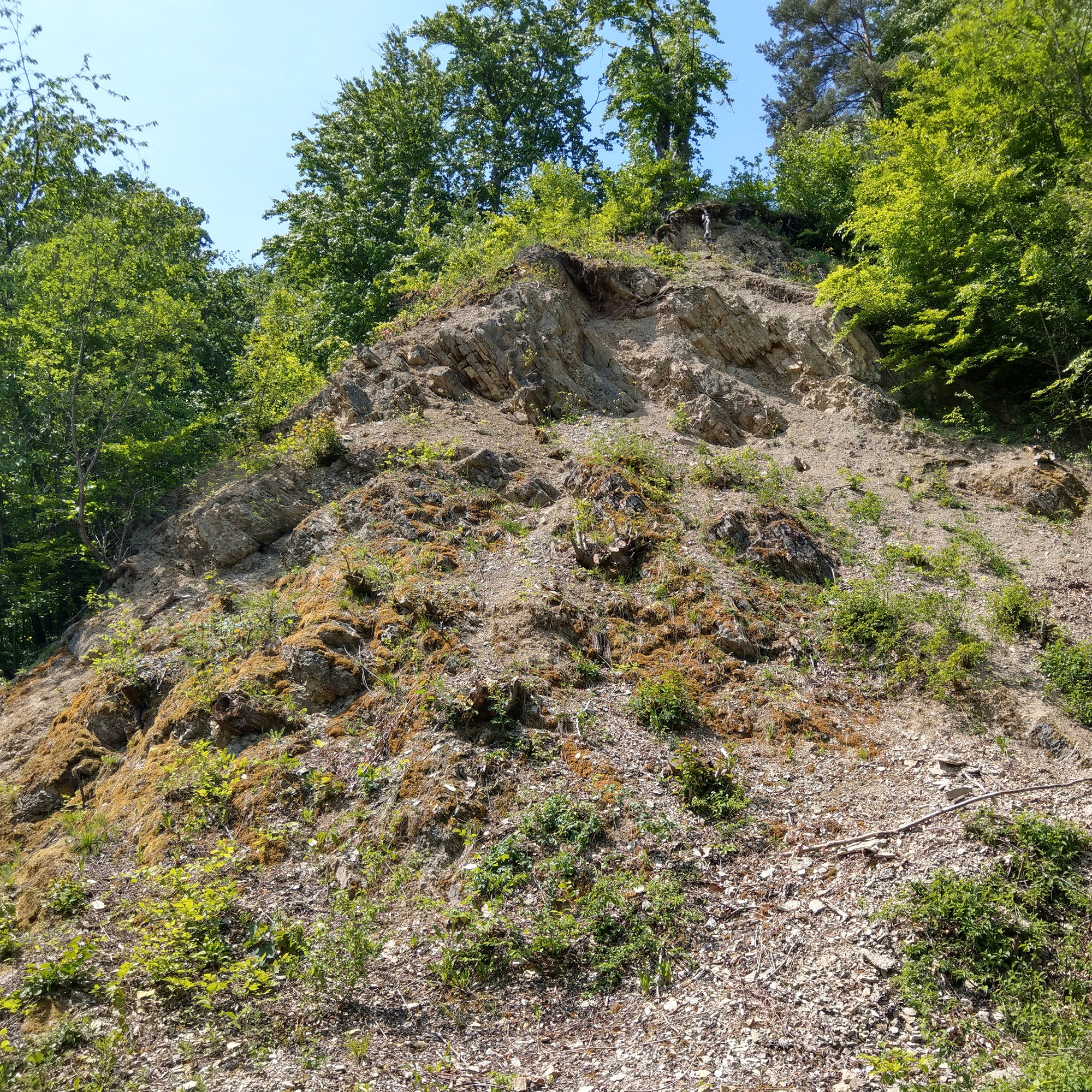 Kalkfelsen Sonnberg im Vogelsberg