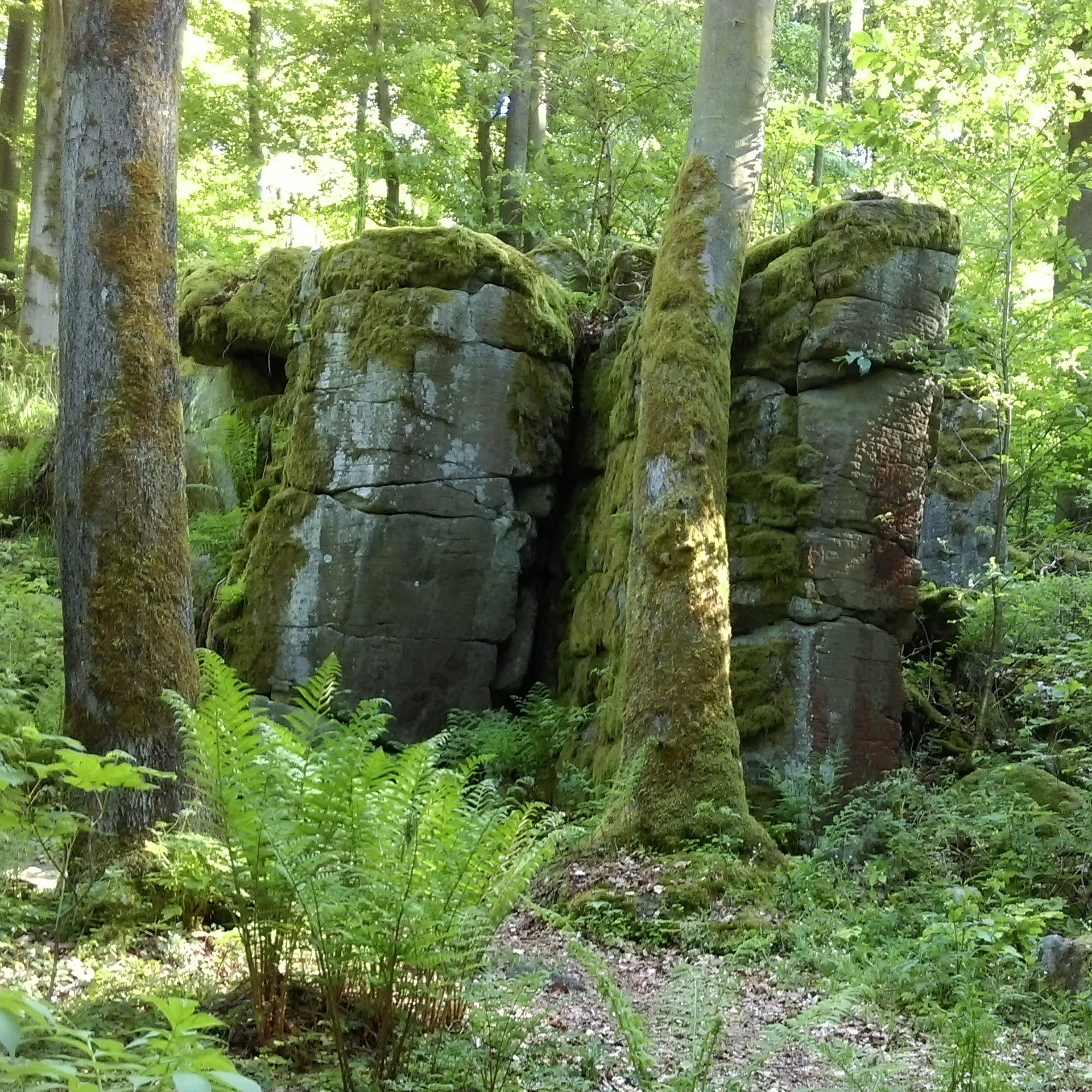 Teufelskanzel im Vogelsberg