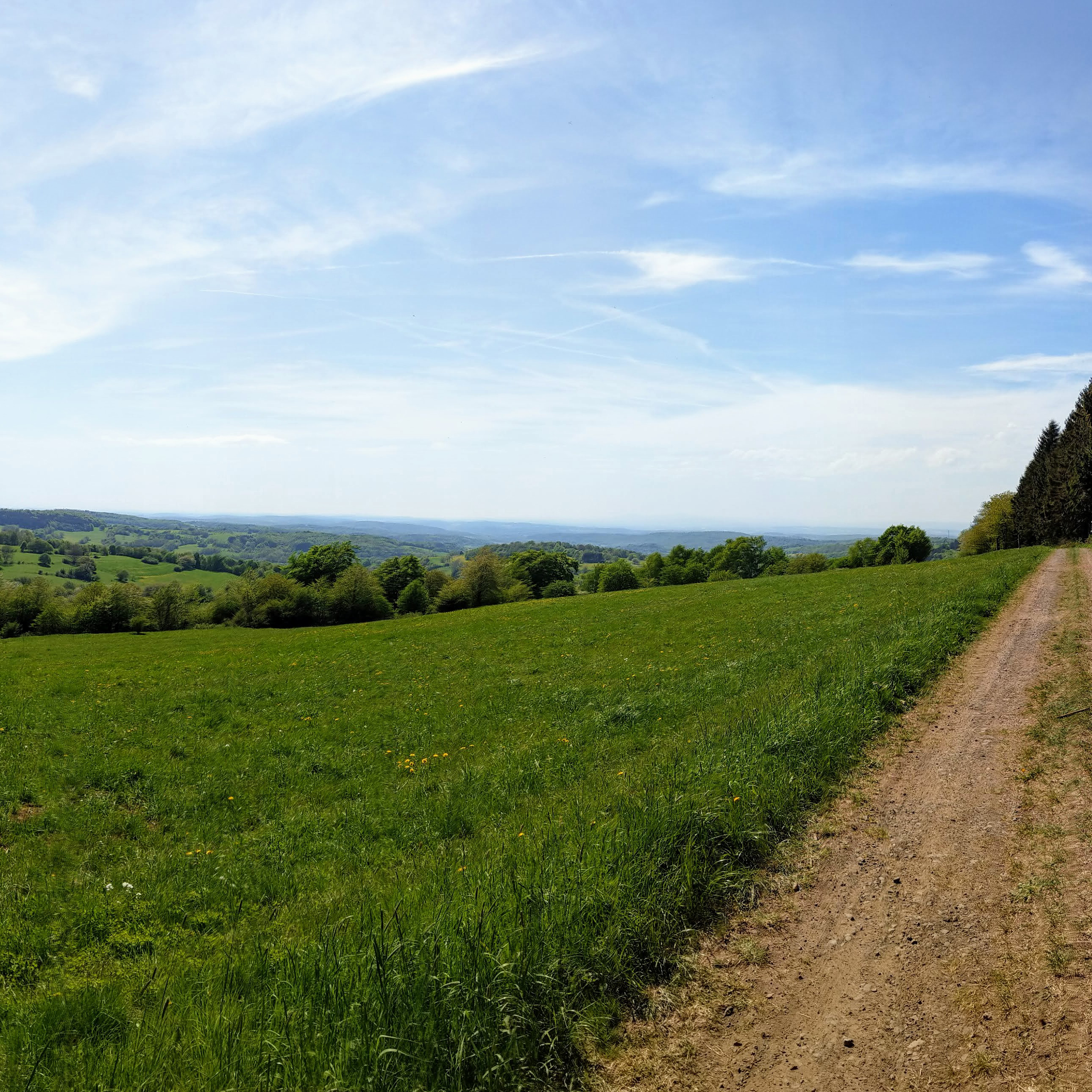 Feldkrücker Höhe im Vogelsberg