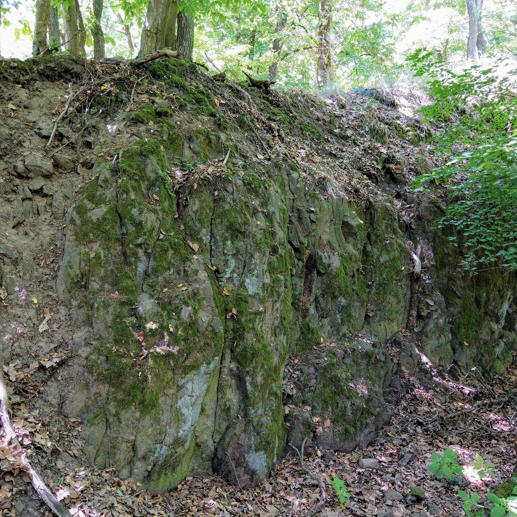 Grafengunst im Vogelsberg
