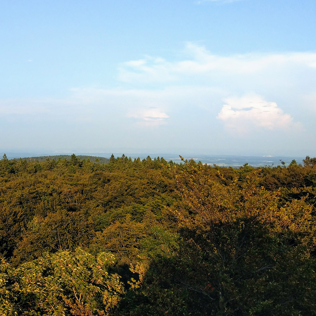Blick vom Taufstein im Vogelsberg