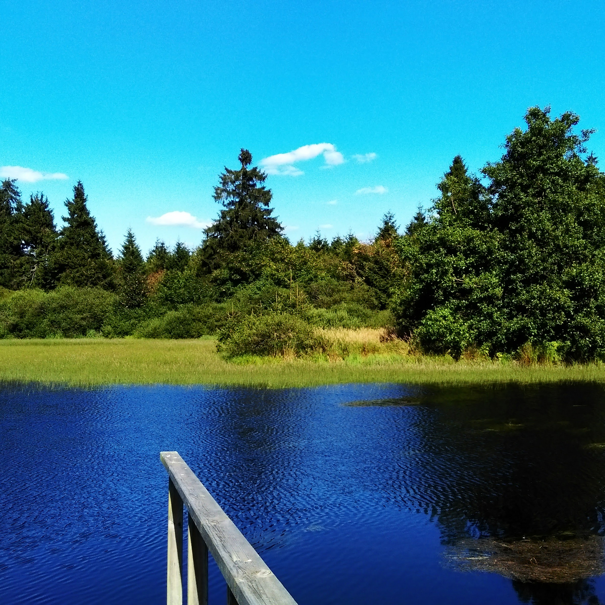 Oberes Niddatal, Forellenteiche und Flößerteich im Vogelsberg