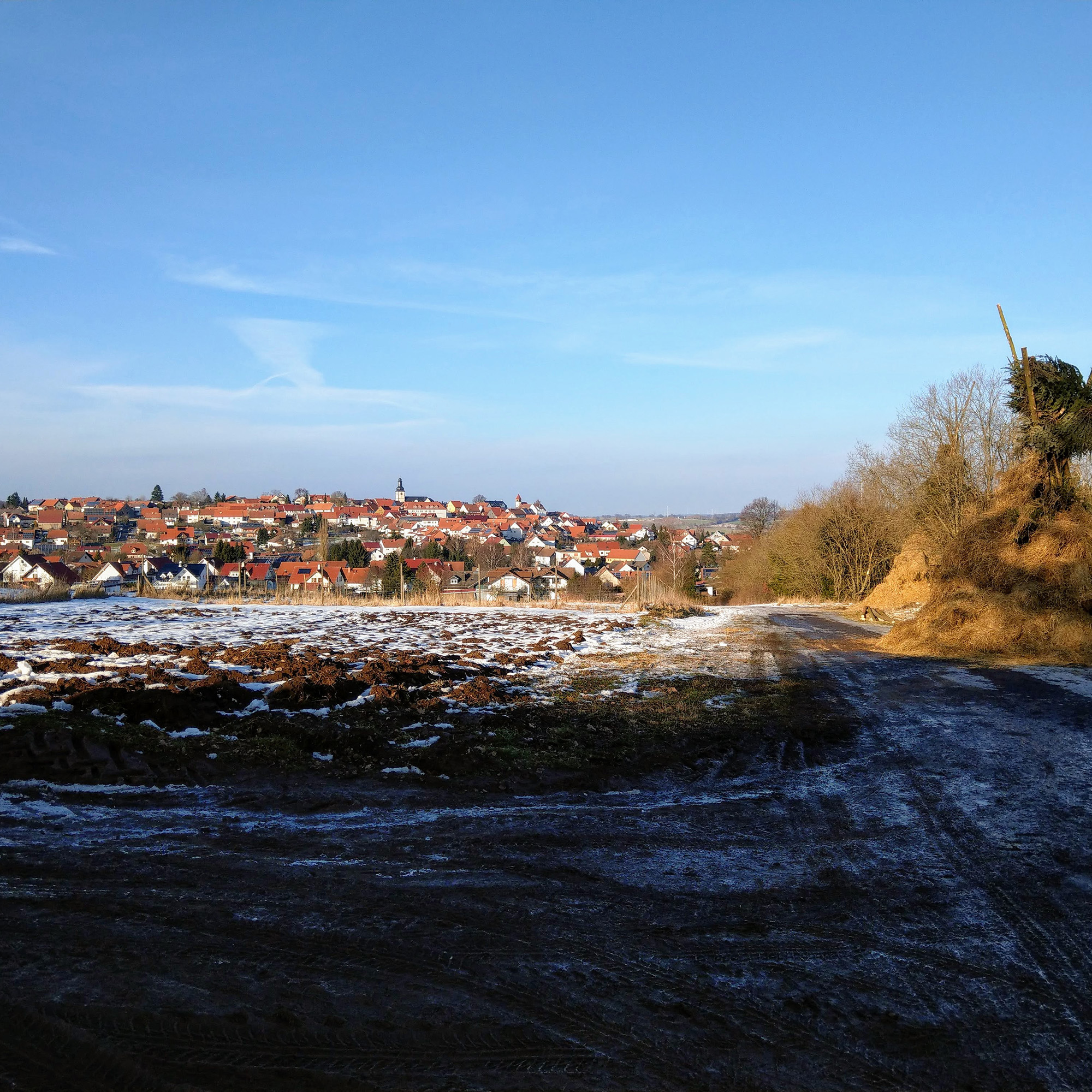 Gallberg Vogelsberg.wiki