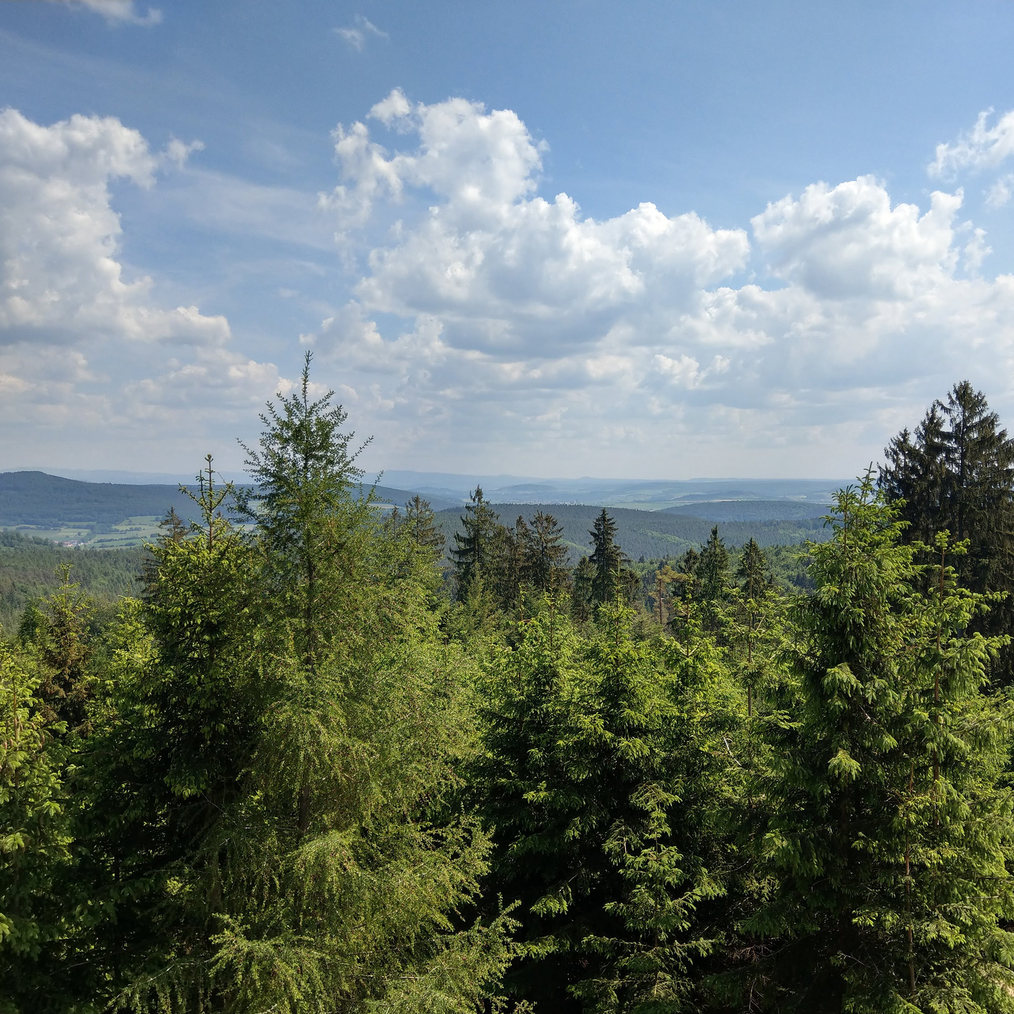 Blick vom Steinberg im Vogelsberg
